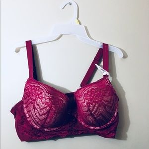 Daisy Fuentes bra 40C/D cup